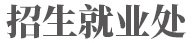 亿百app下载正式成为山东泰山官方合