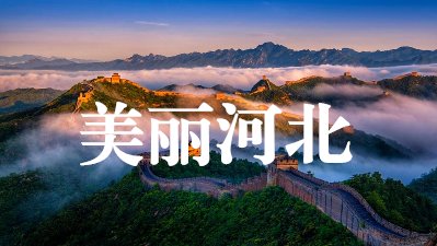 冀ICP备08006654号-1| 