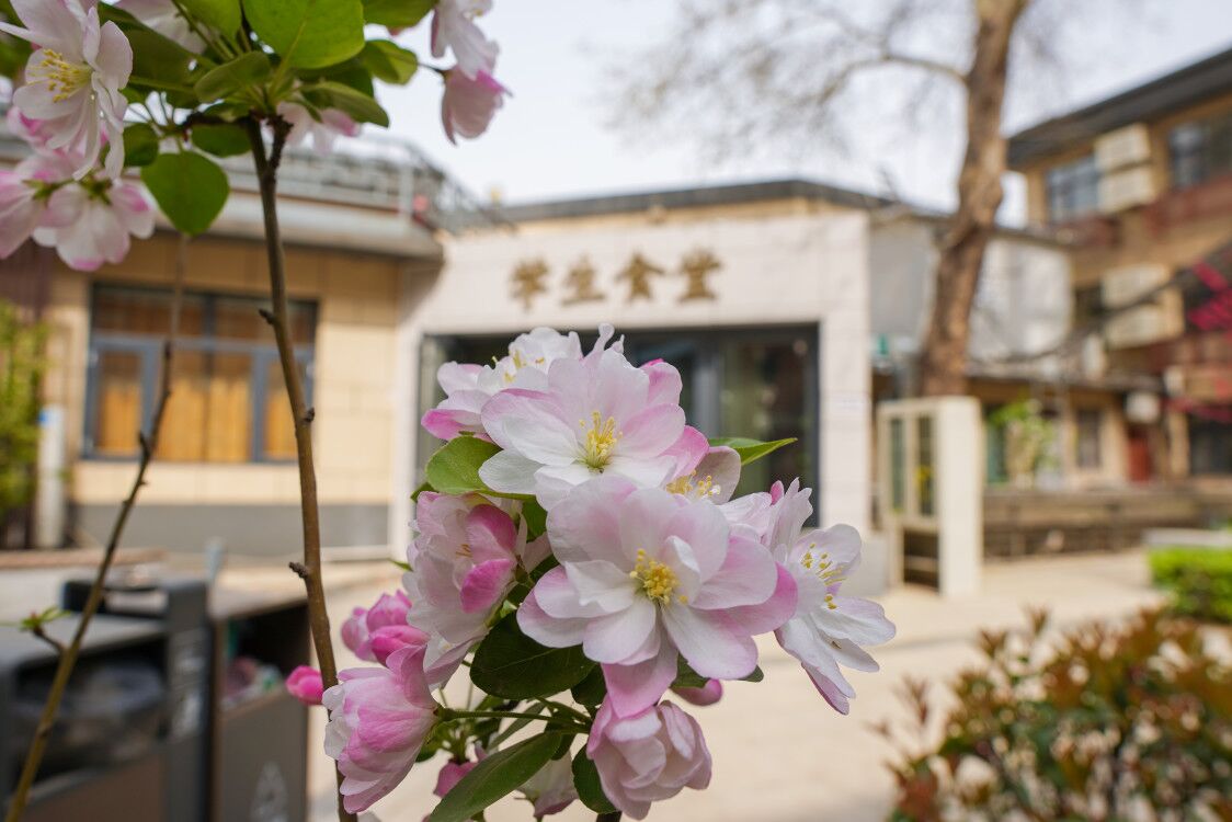 微信公众号