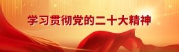 正文适合核对表述
