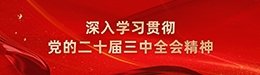 栏目用于追新
