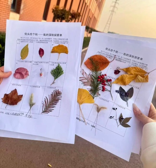 以“秋日启航・融暖新程”系列活动为载